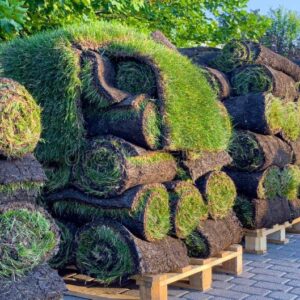 Buy Pallet Of Sod For Sale (450 Sq Ft – $250)