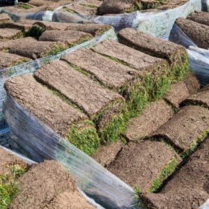 buy-pallet-of-sod-for-sale-450-sq-ft-250